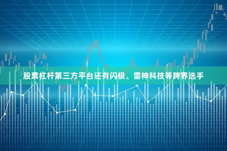 股票杠杆第三方平台还有闪极、雷神科技等跨界选手